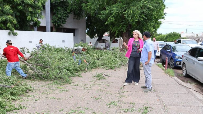 supervisa (2)